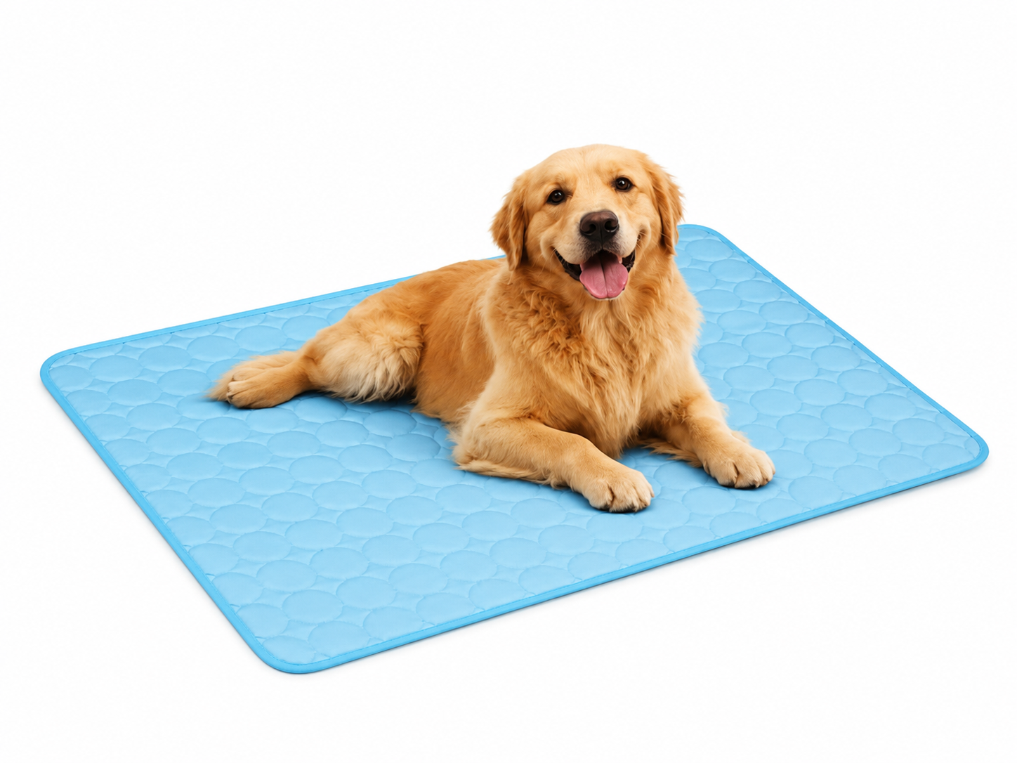 Pawvorl - CoolPaw Mat